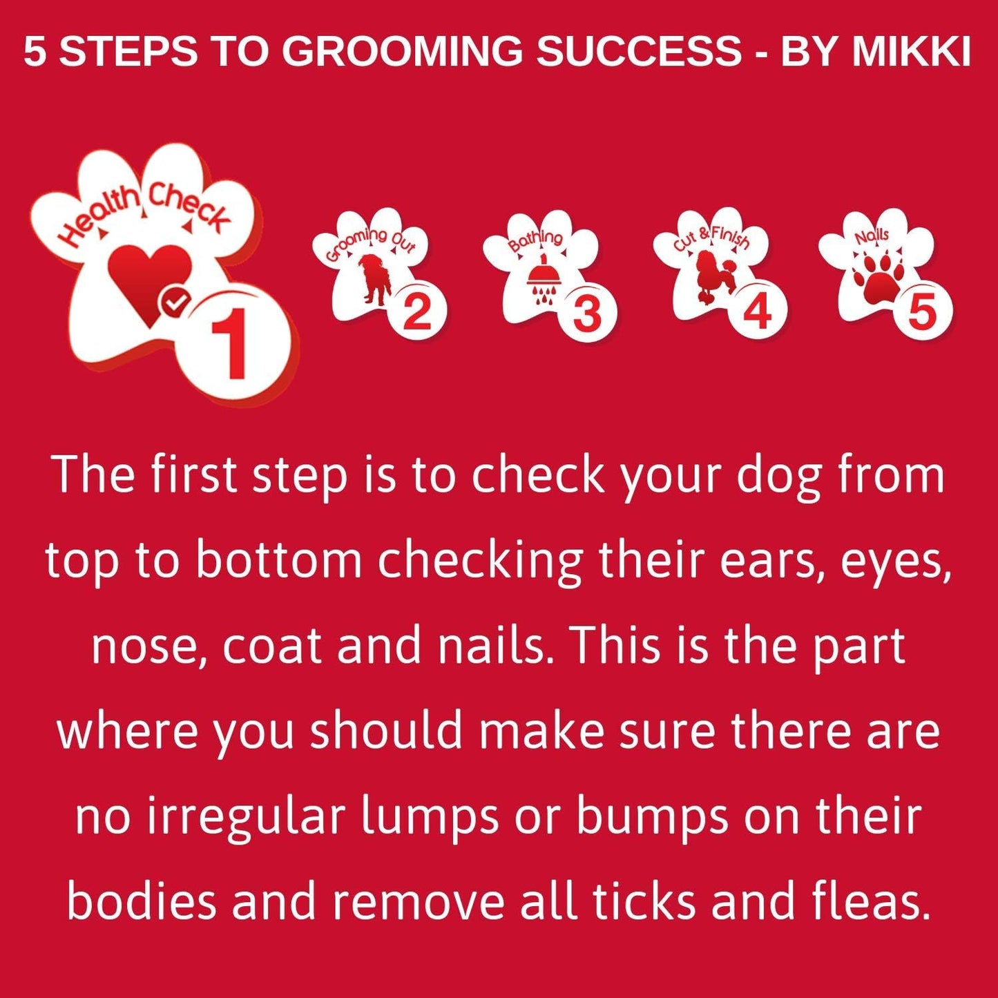 Mikki Compact Flea Comb