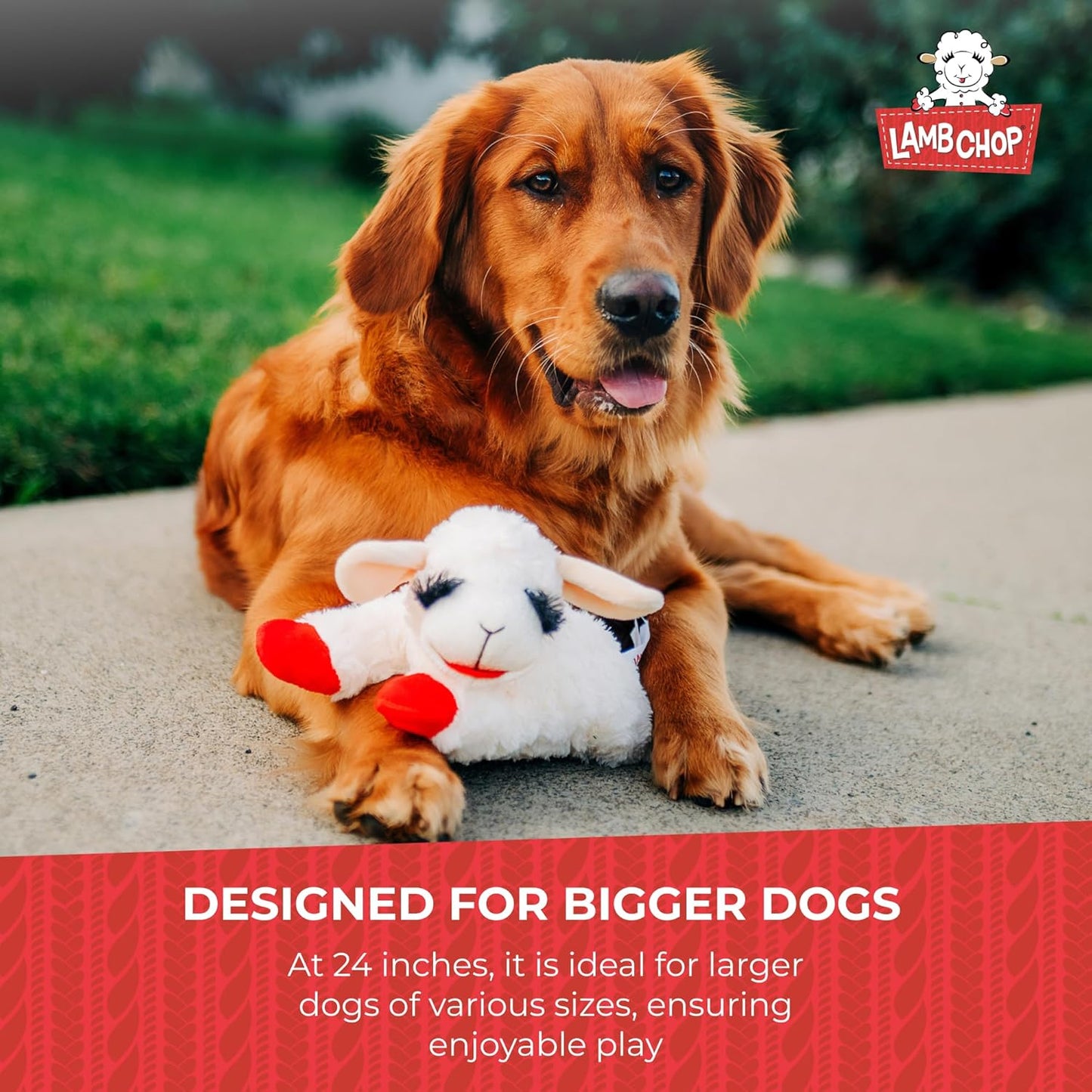 Happypet Lamb Chop Soft Dog Toy X Large
