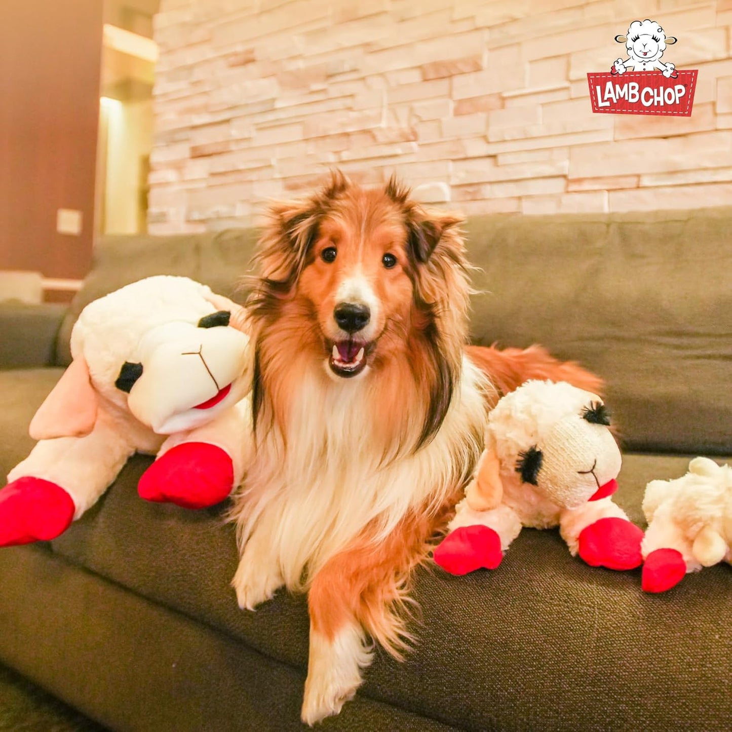 Happypet Lamb Chop Soft Dog Toy X Large