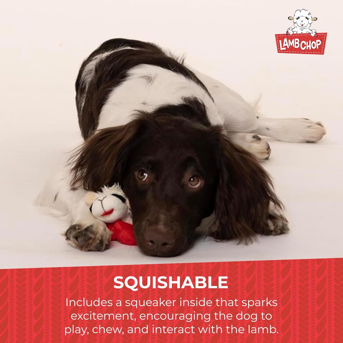 Happypet Lamb Chop Soft Dog Toy Small