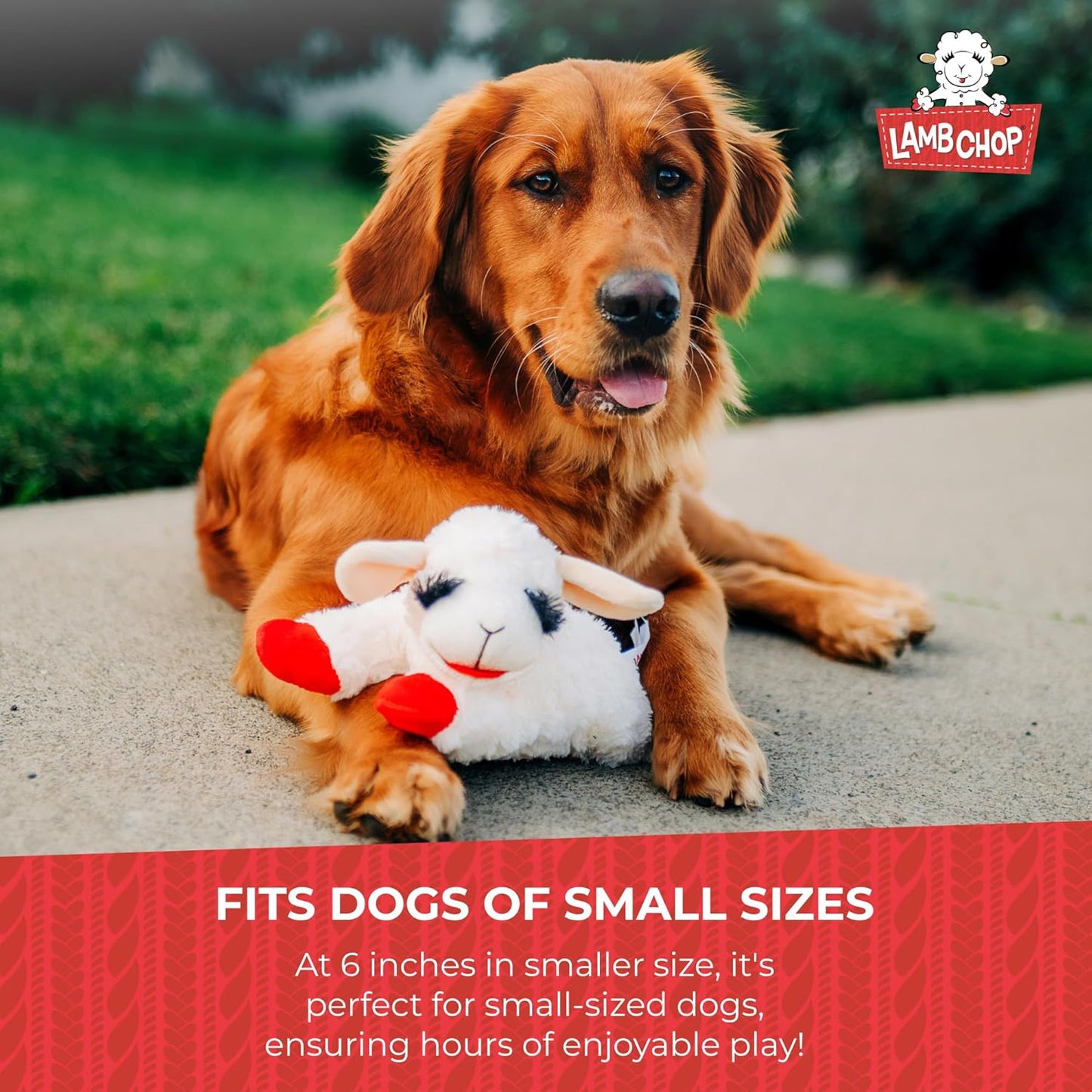 Happypet Lamb Chop Soft Dog Toy Small