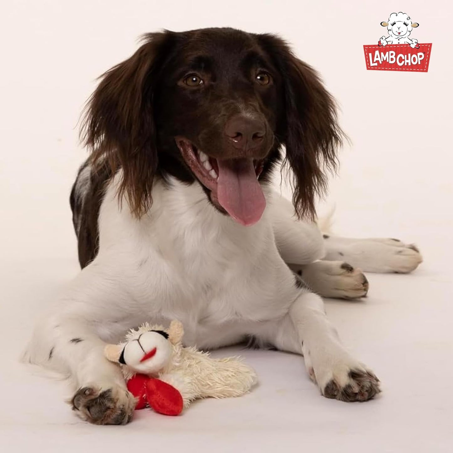 Happypet Lamb Chop Soft Dog Toy Small