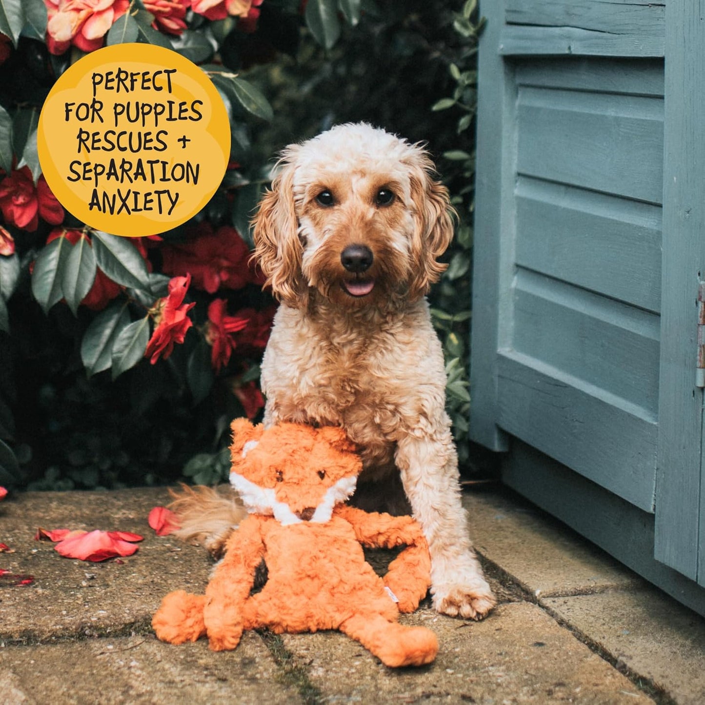 My Dog Fox Crinkle Toy