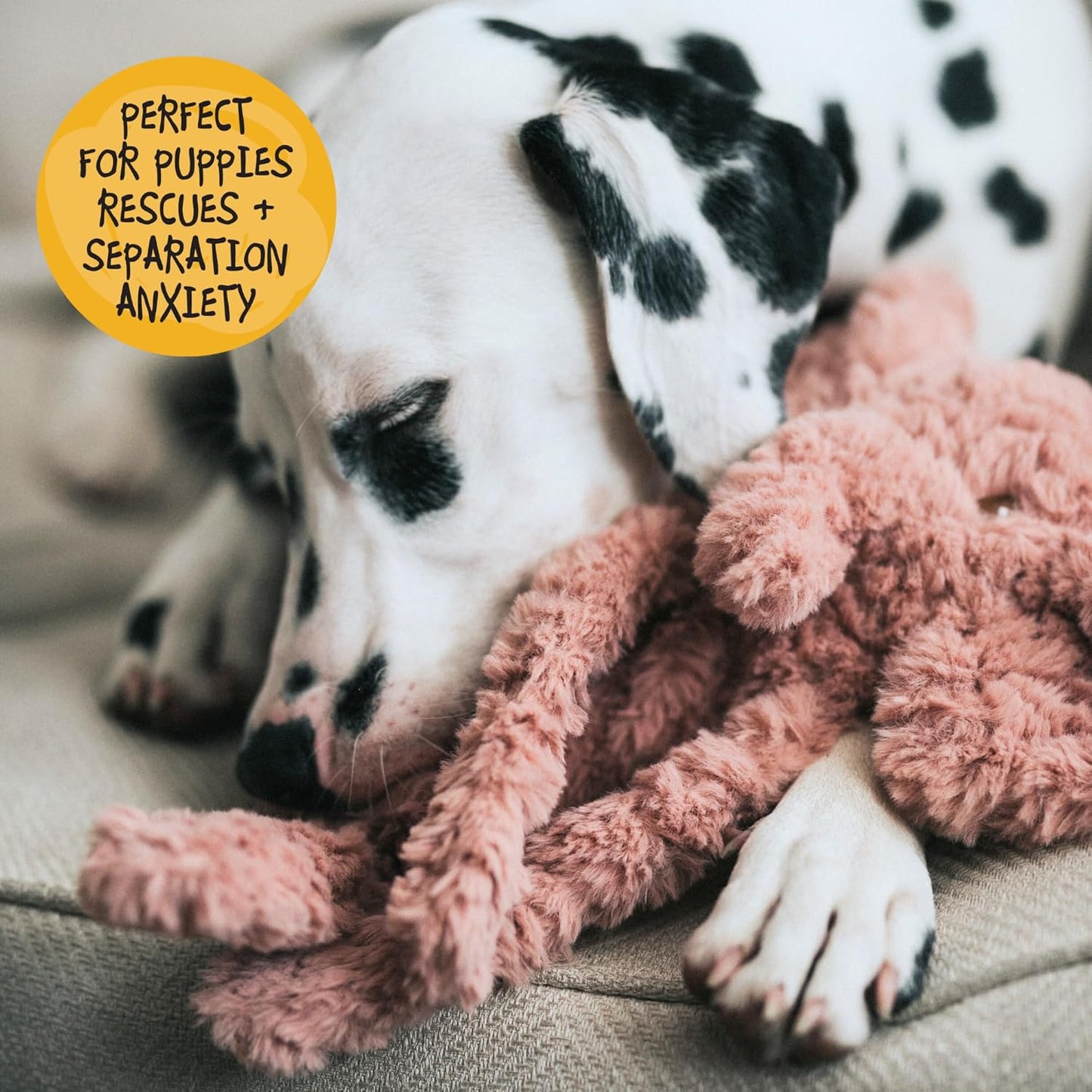 My Dog Elephant Crinkle Toy