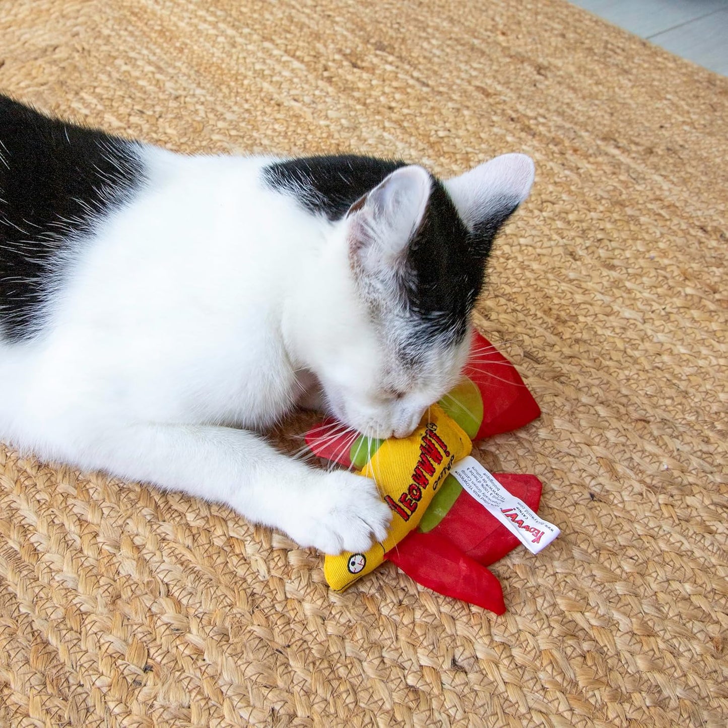 Yeowww! Catnip Mo Betta Fish Red Cat Toy