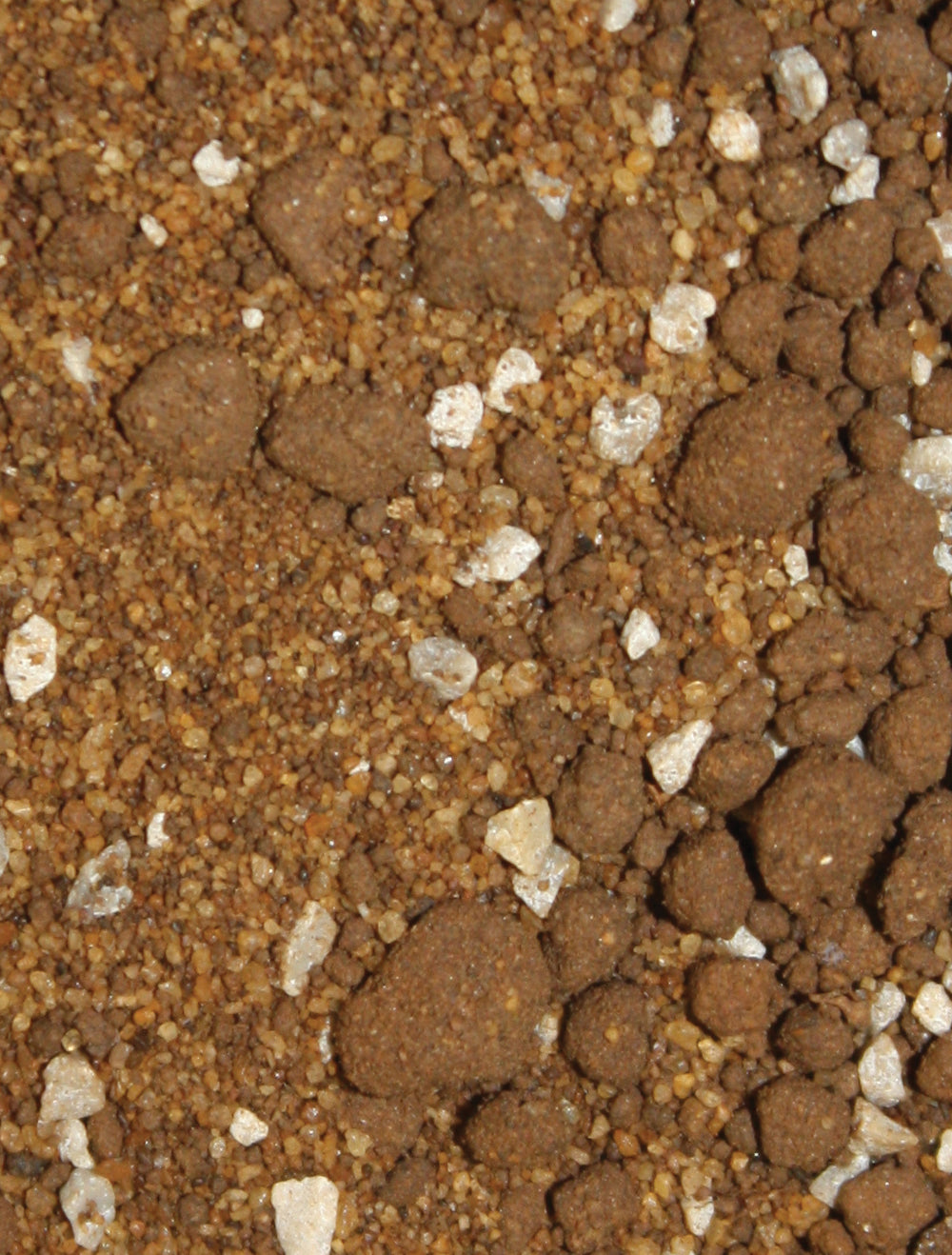 Komodo Tortoise Terrain 10ltr