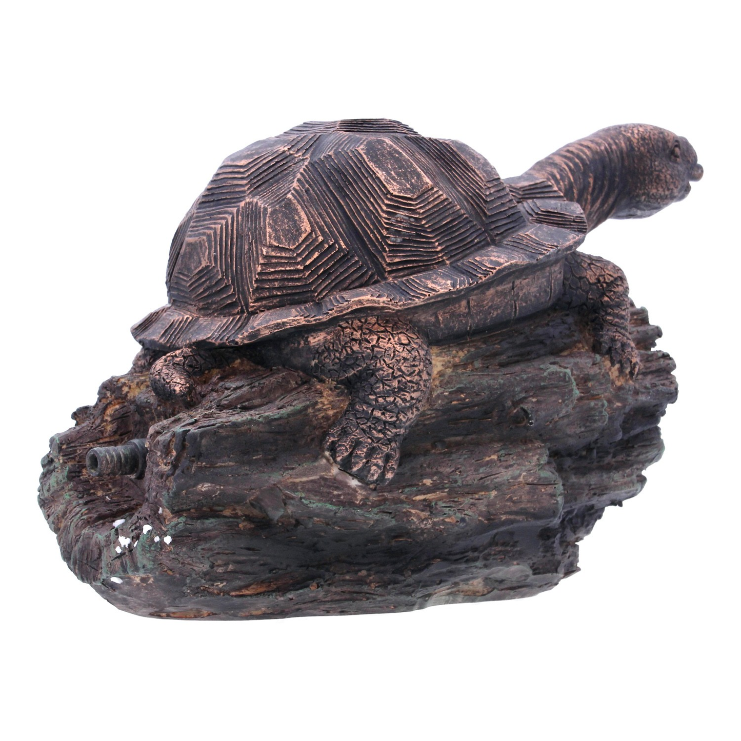 Bermuda Turtle Spitter