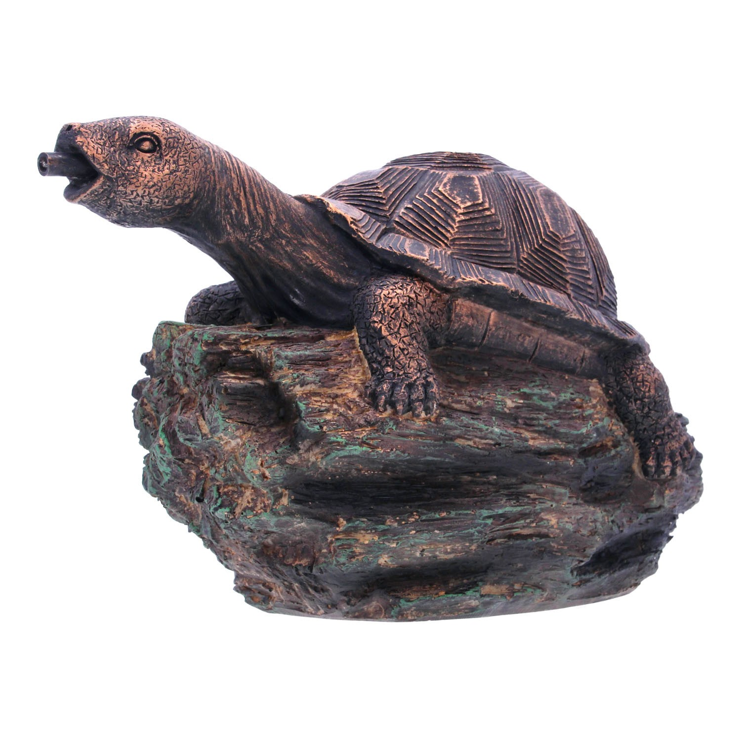 Bermuda Turtle Spitter