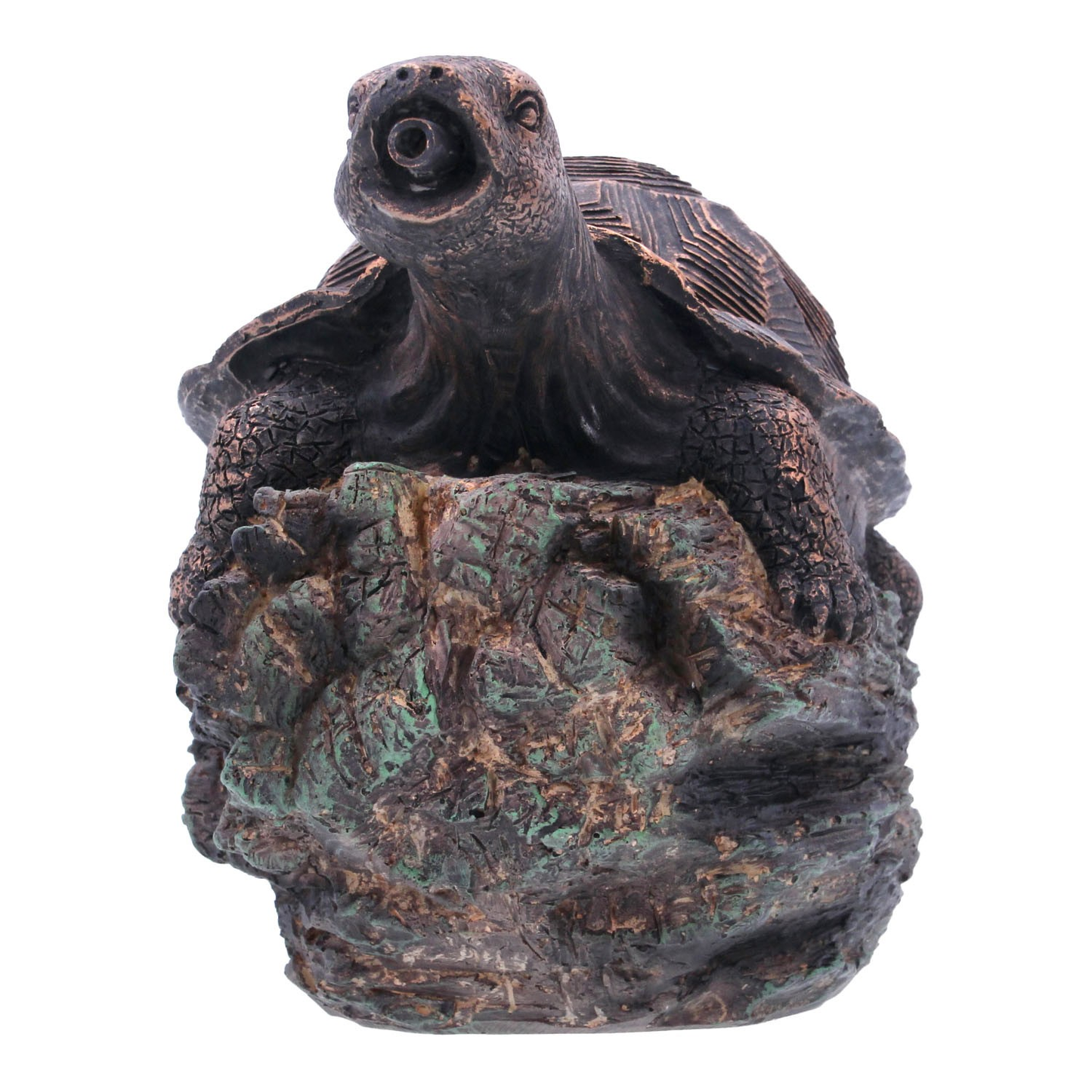 Bermuda Turtle Spitter