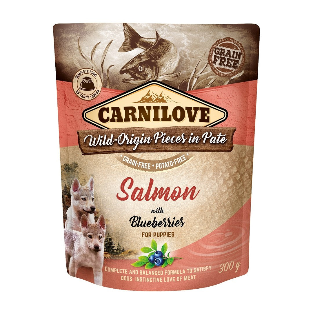 Carnilove Salmon With Blueberries Wet Puppy Food Pouch 300g