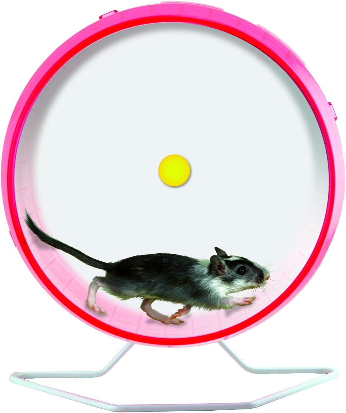 Kaytee Comfort Wheel Giant 12"