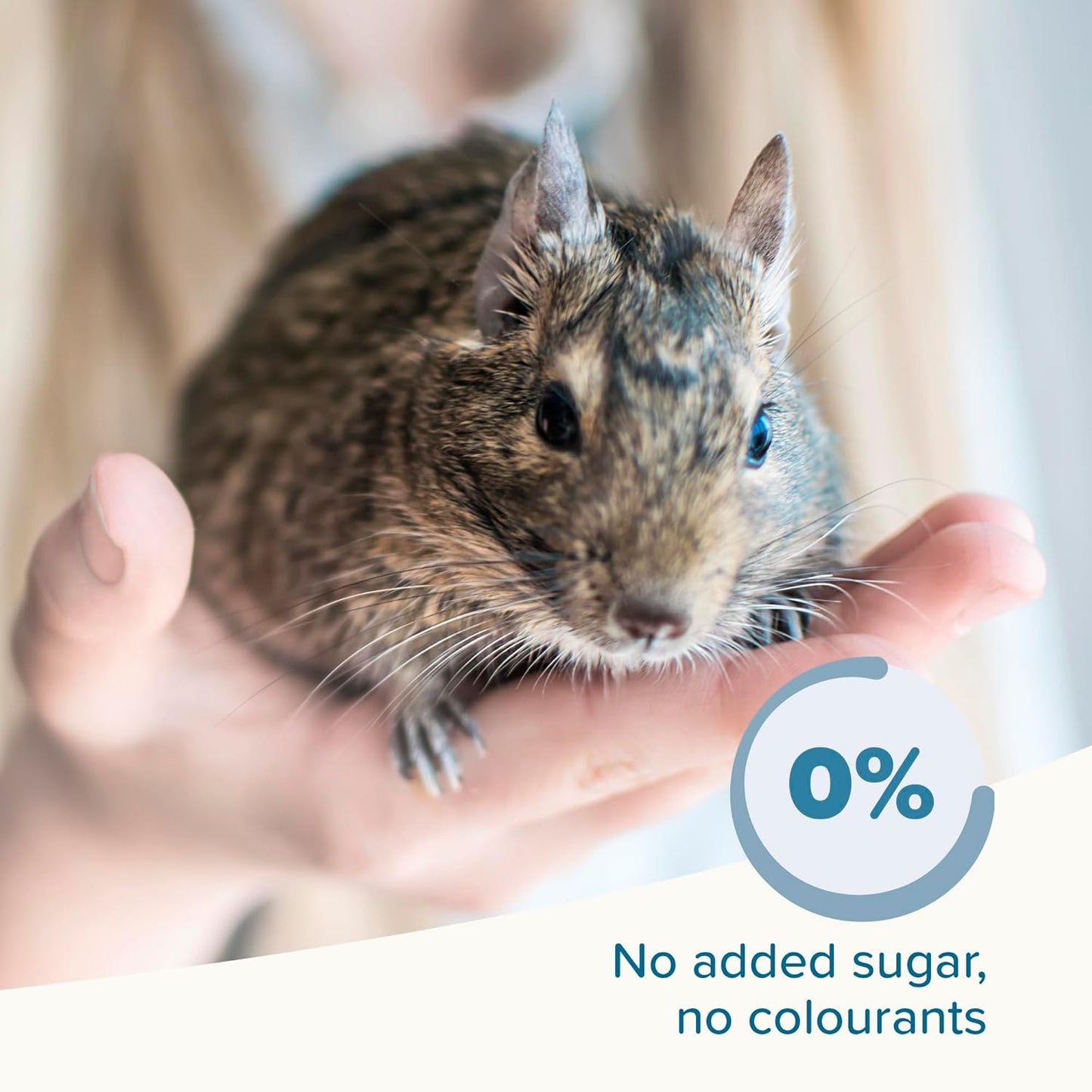 Beaphar Care Plus Degu 700g