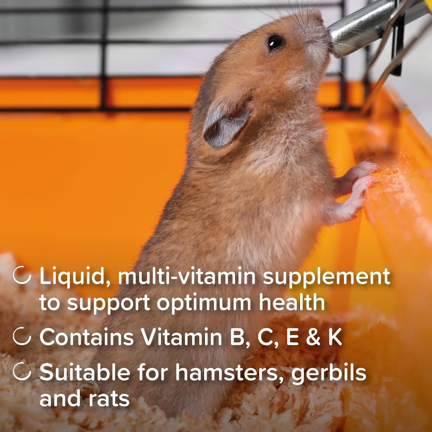 Beaphar Hamster Vitamin Solution 75ml