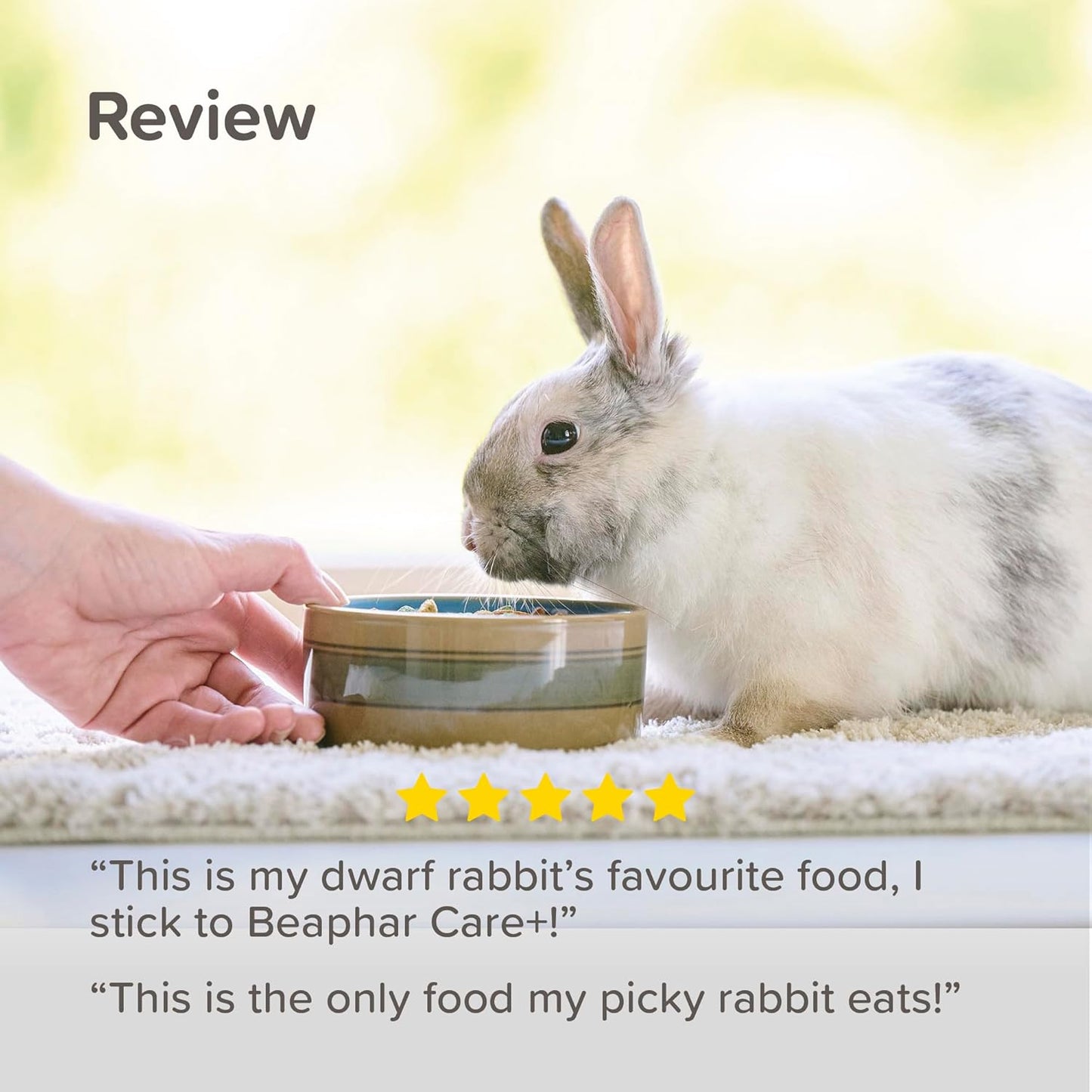 Beaphar Care Plus Junior Rabbit 1.5kg
