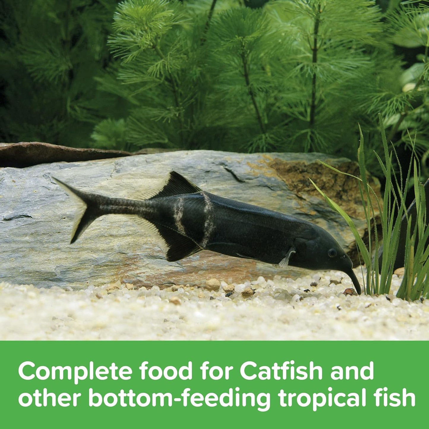 King British Catfish Pellets 60g