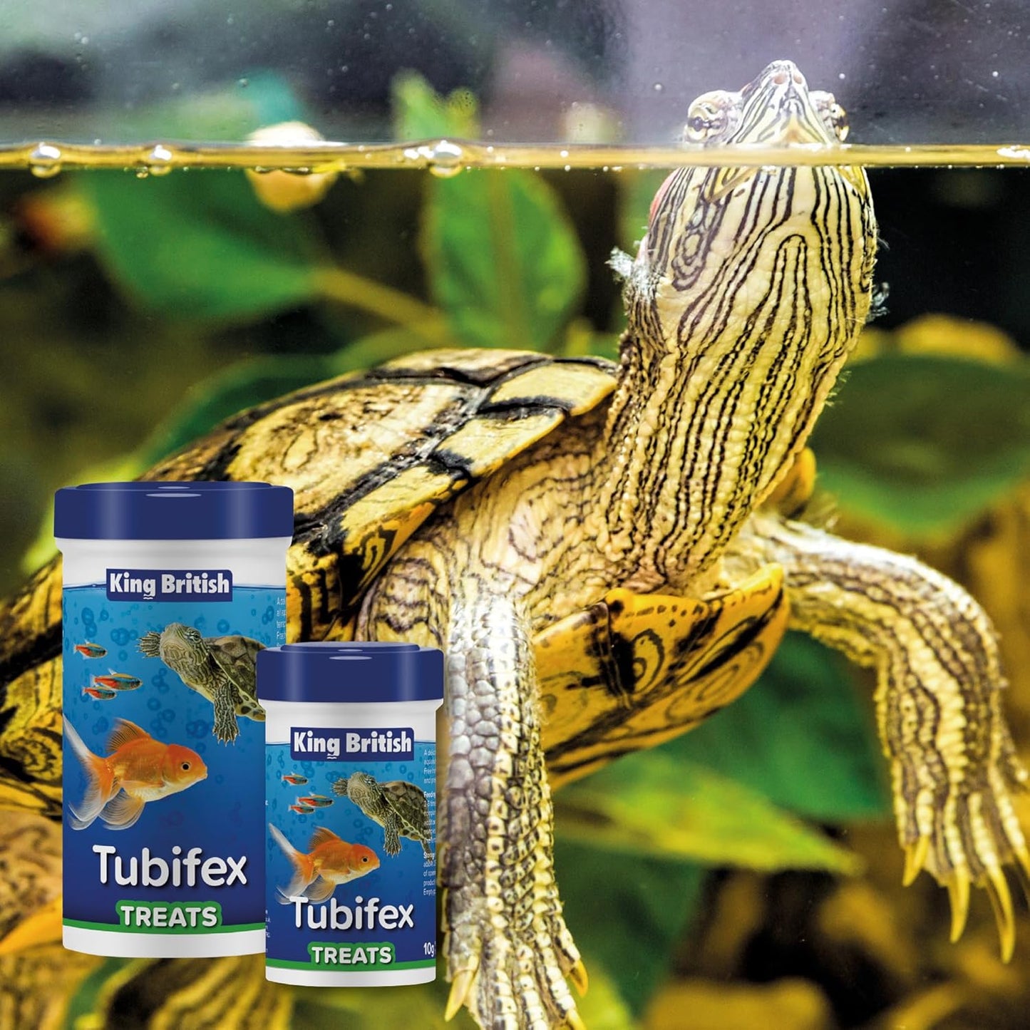 King British Tubifex Fish Treats 10g