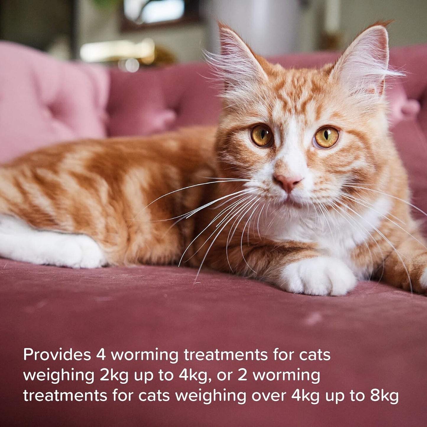 Wormclear Cat 4 Tablets