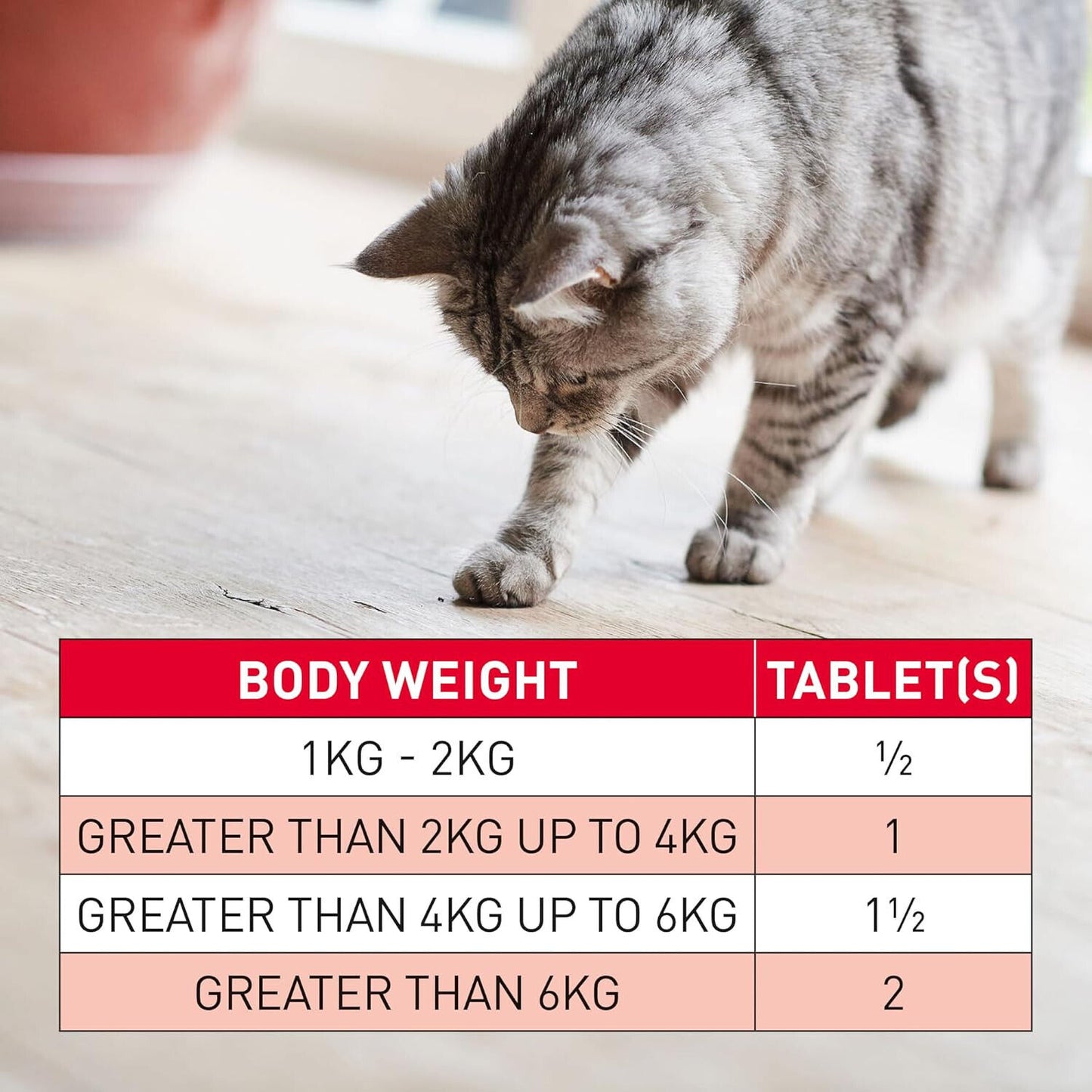Wormclear Cat 4 Tablets