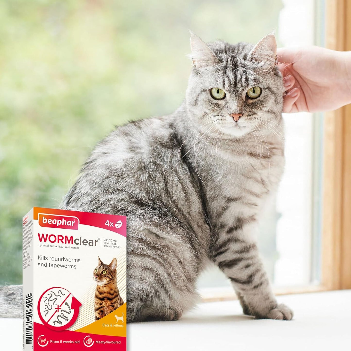 Wormclear Cat 4 Tablets