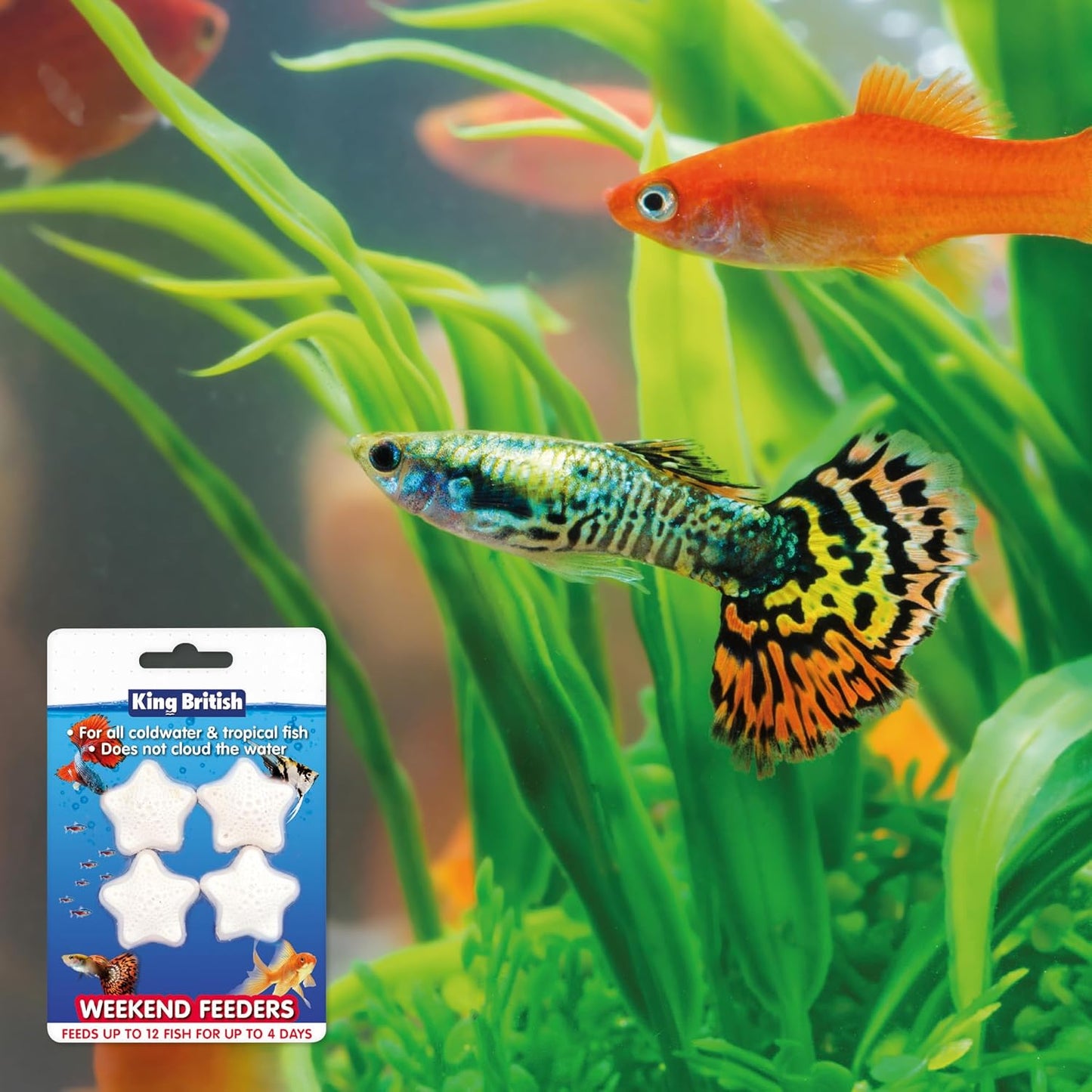 King British Weekend Feeders 4 x 3g