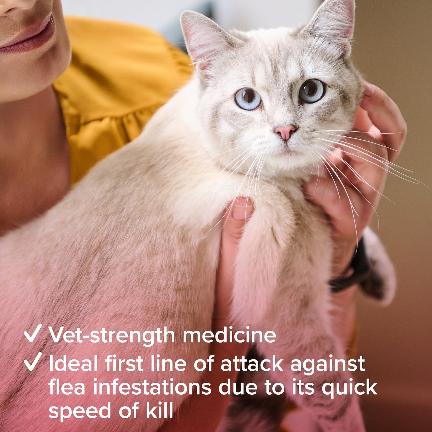Beaphar Flea 11.4mg Tablets For Cats 6 Tablets, Fast Acting Kills Fleas Within 24hours