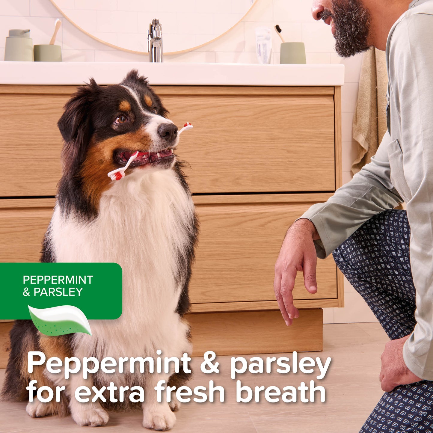 Beaphar Mint Parsley Toothpaste 100g