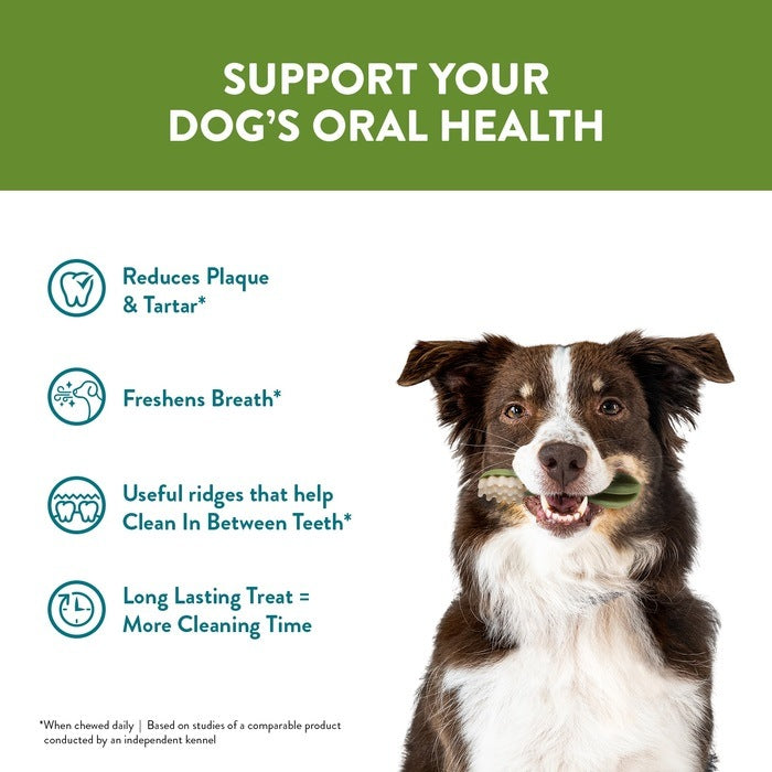 Whimzees Alligator Medium Bulk Box Of 65