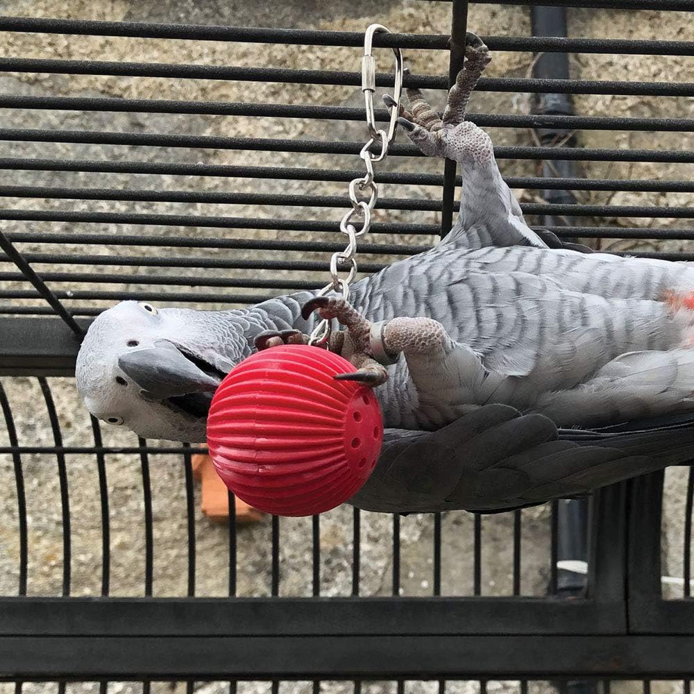 Birdy Babble Ball