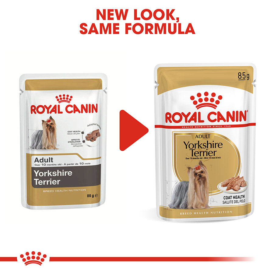 Royal Canin Yorkshire Terrier Loaf Adult Dog Food 85g