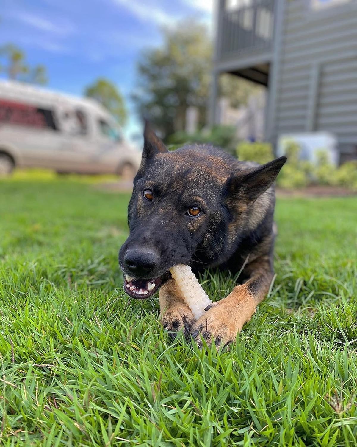 Nylabone Dura Chew Original Souper