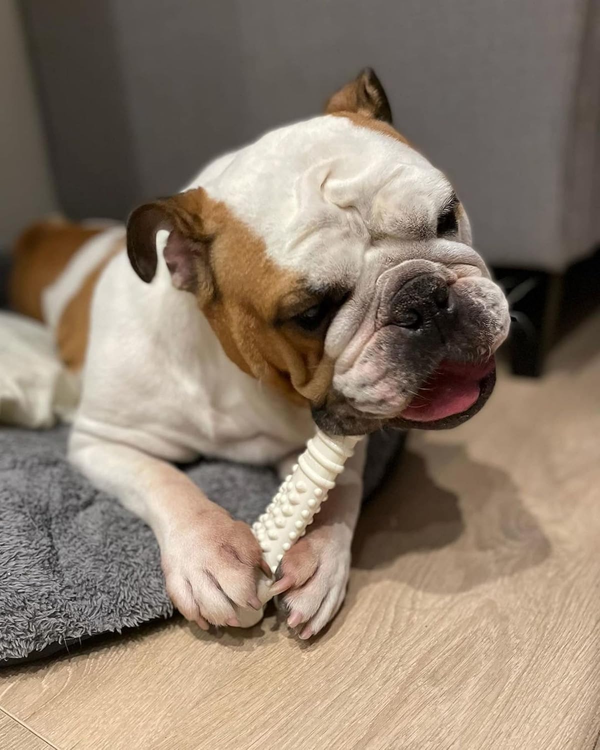 Nylabone Dura Chew Chicken Souper