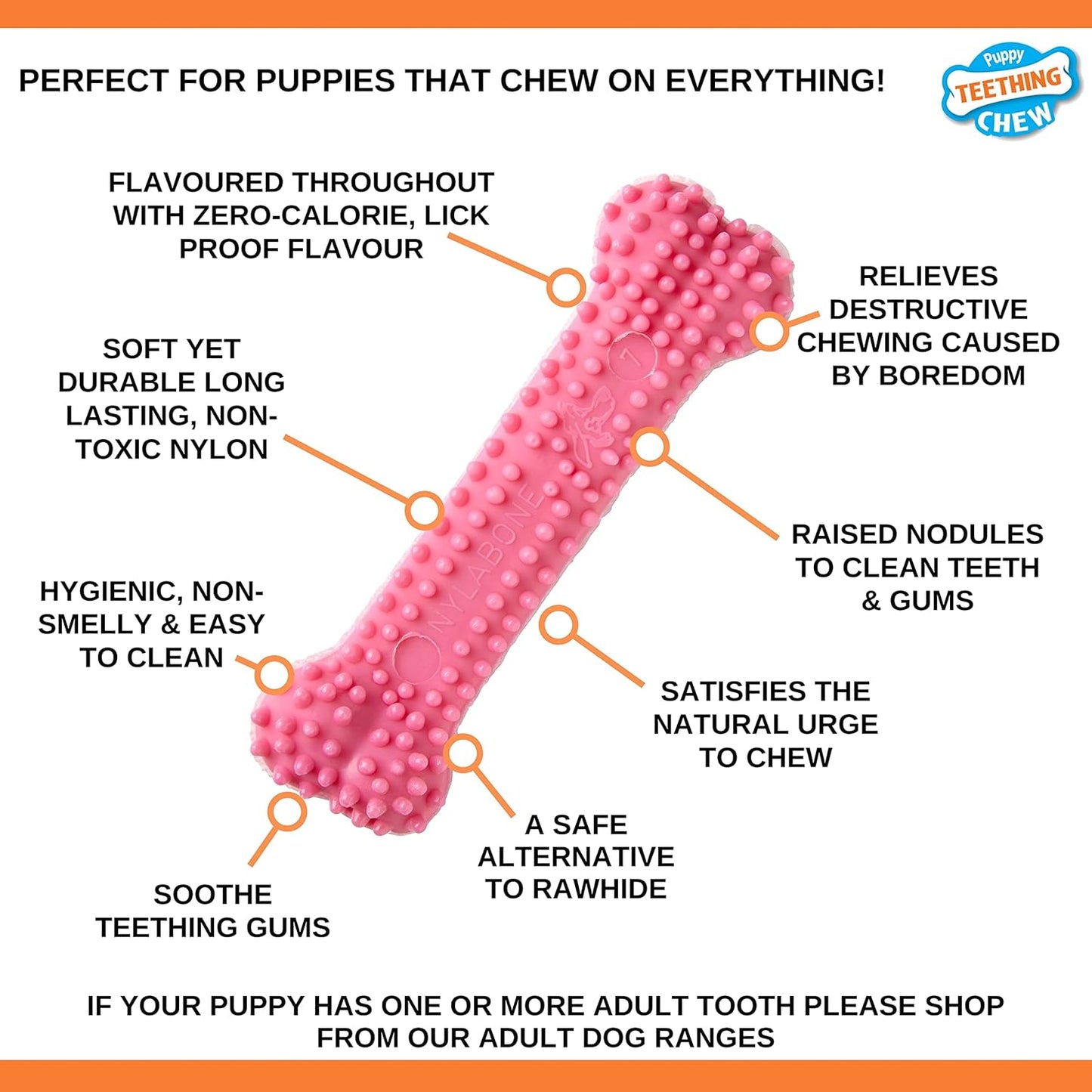 Nylabone Puppy Teething Bone Pink X Small