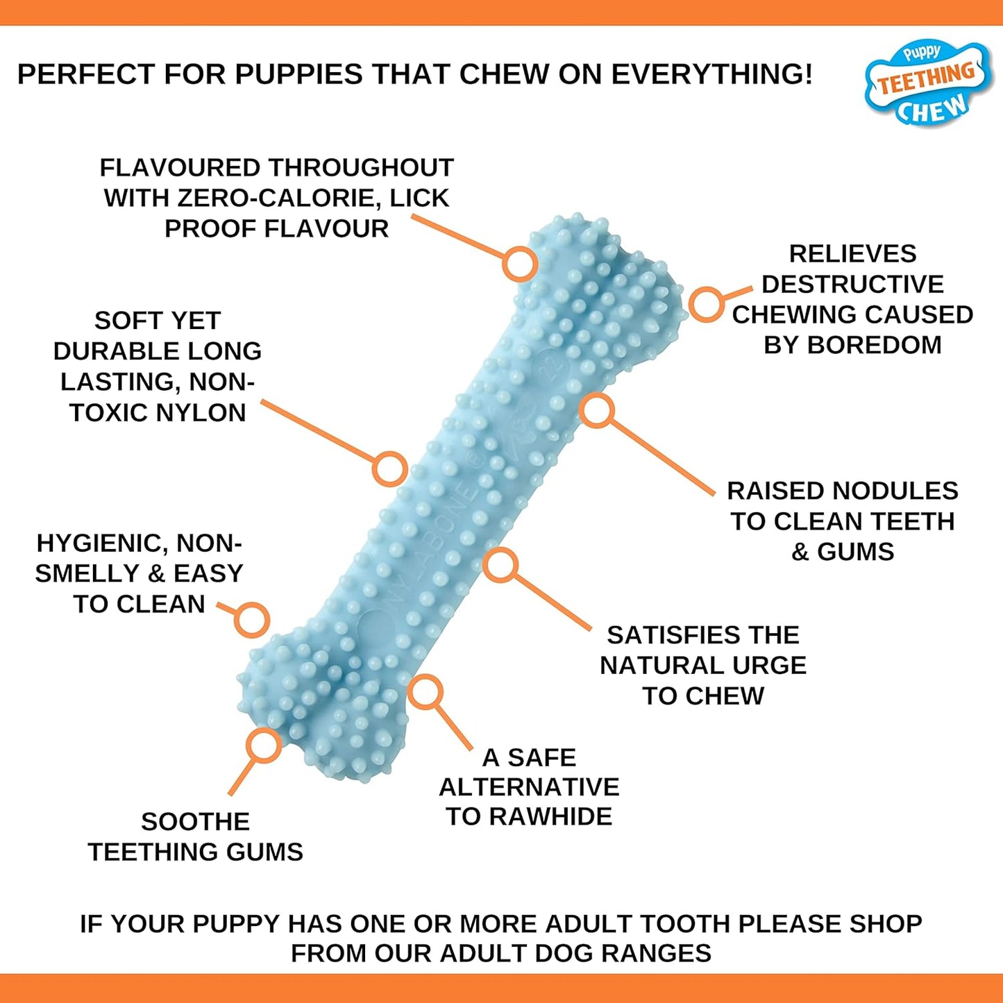 Nylabone Puppy Teething Bone Blue X Small