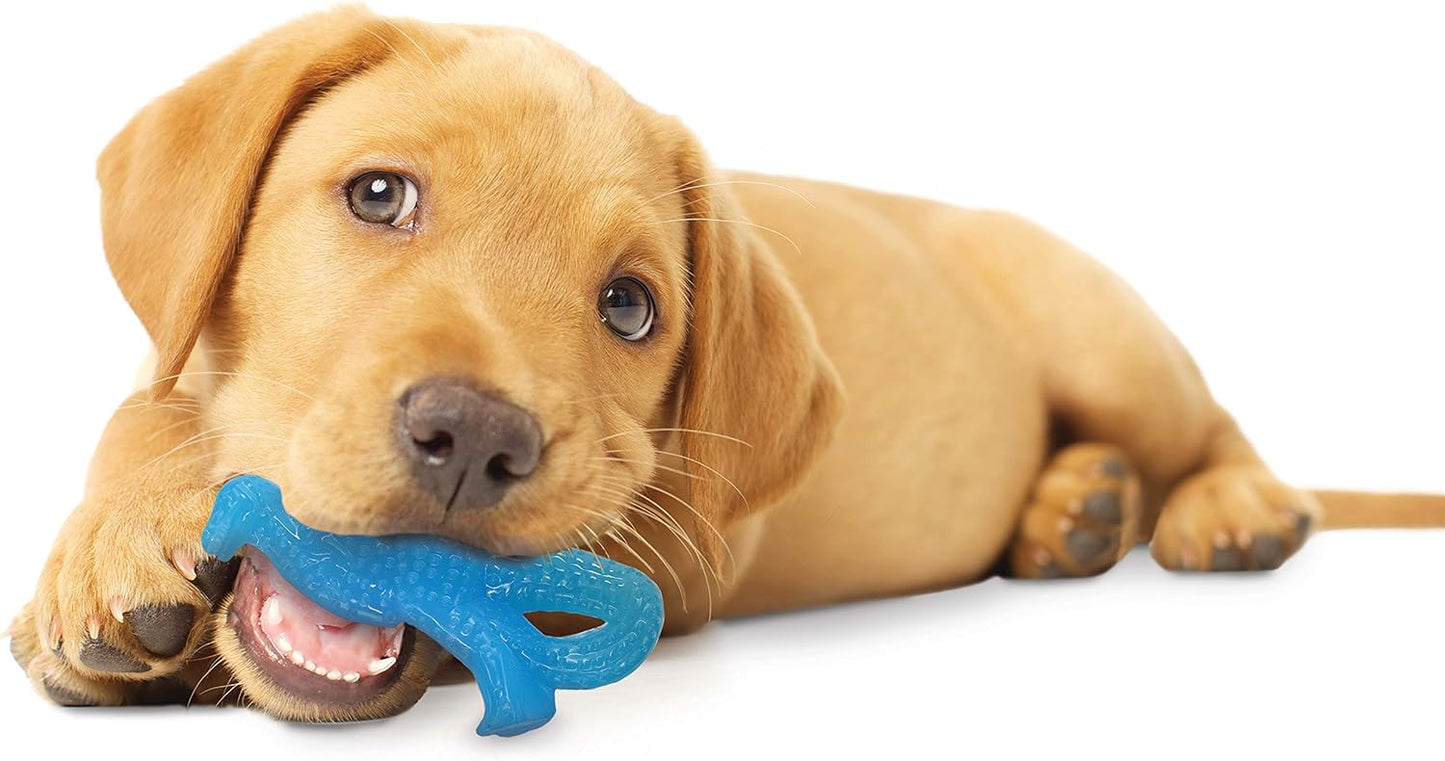 Nylabone Puppy Dino Chicken Small