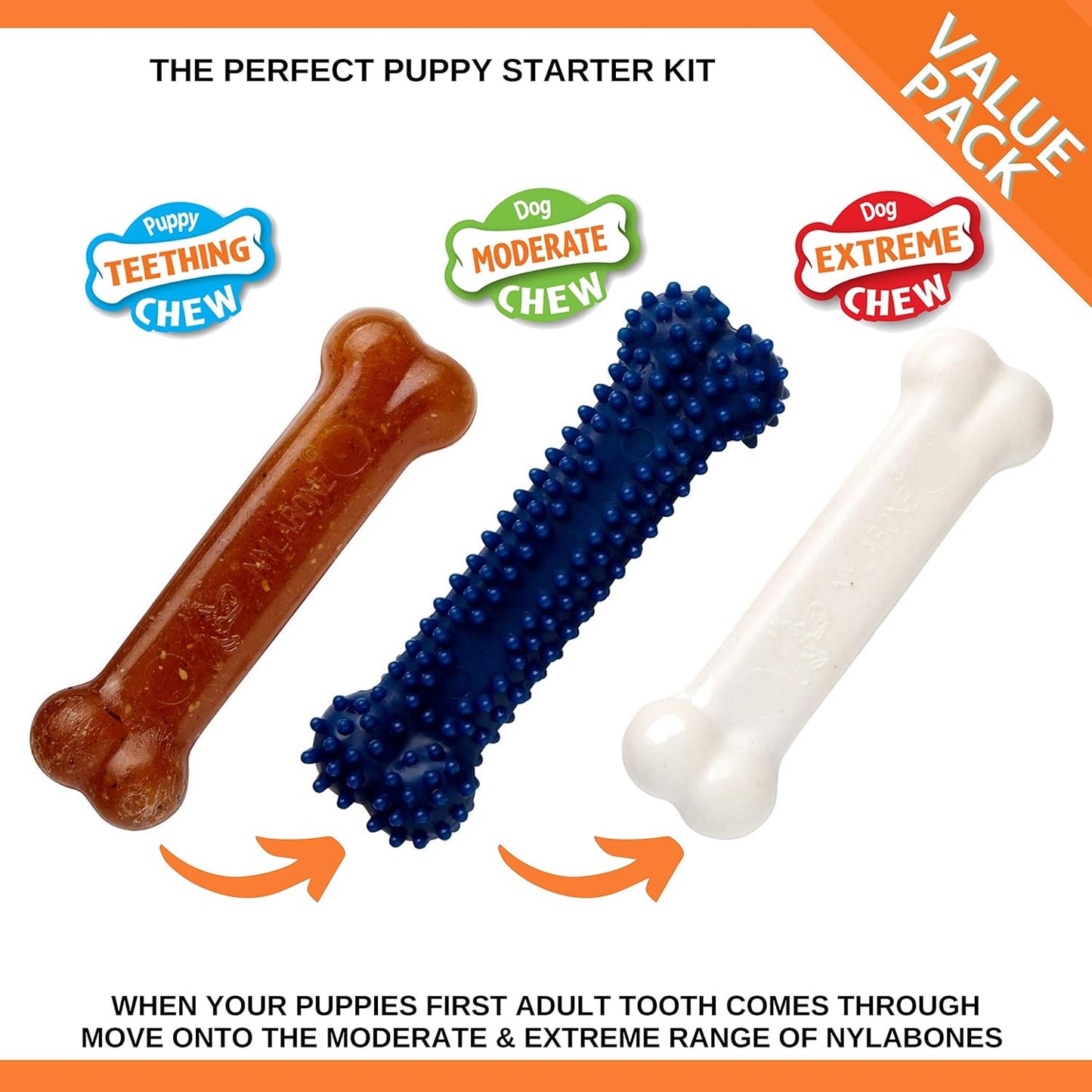 Nylabone Puppy Starter Kit 3 pcs