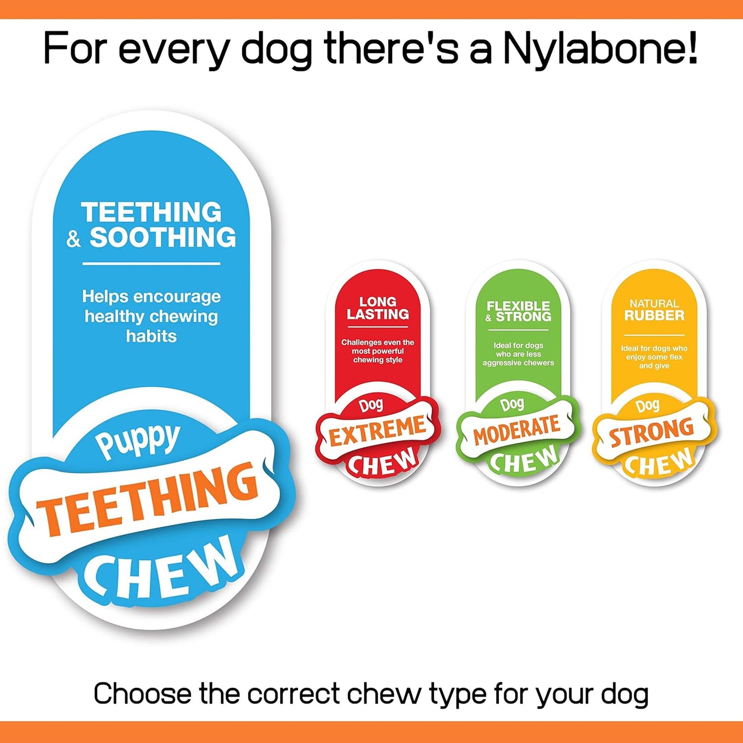 Nylabone Puppy Starter Kit 3 pcs