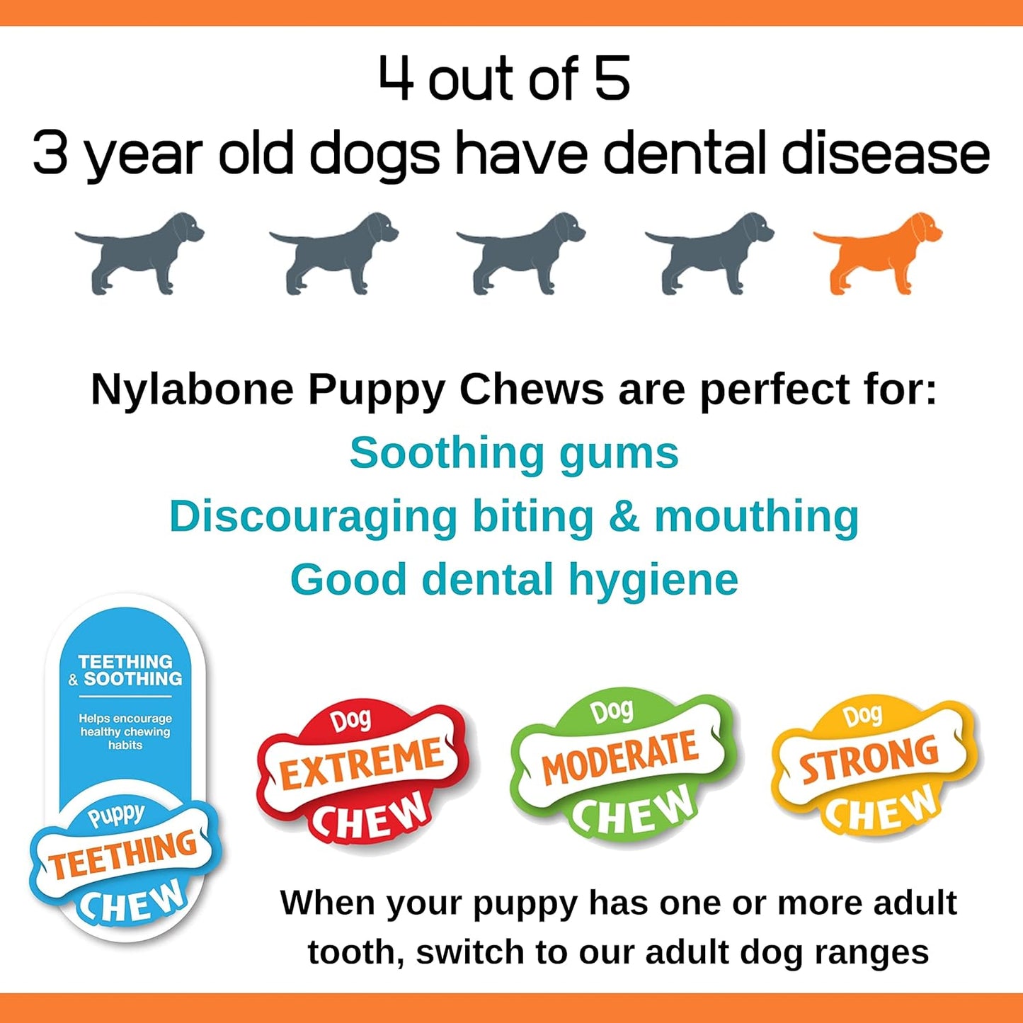 Nylabone Puppy Starter Kit 3 pcs