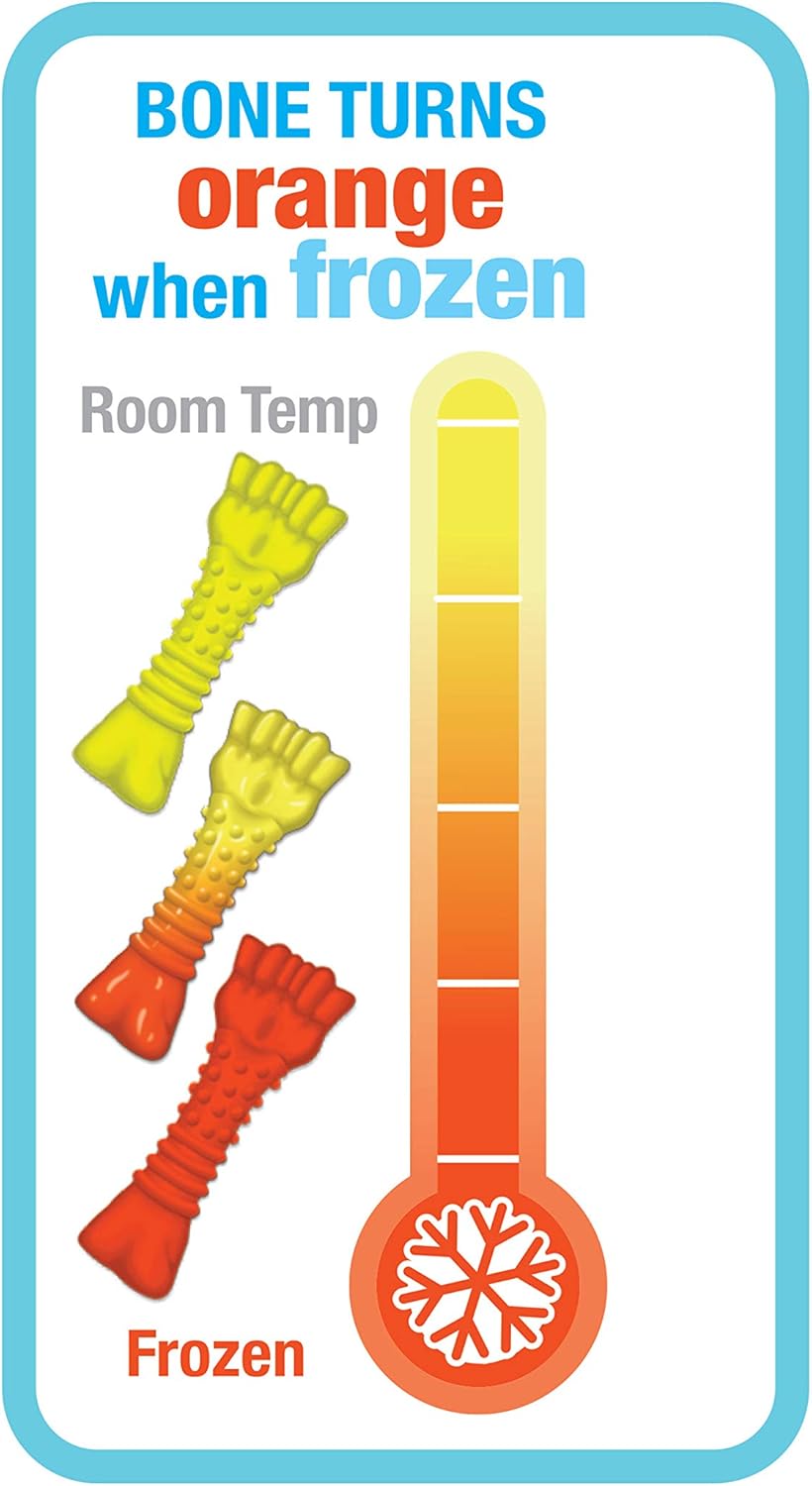 Nylabone Puppy Chill & Chew Small