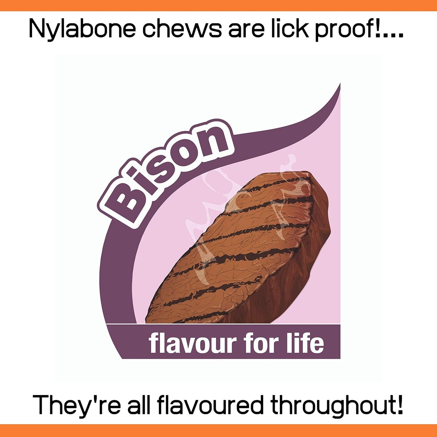 Nylabone Wishbone Bison Large Hold & Chew