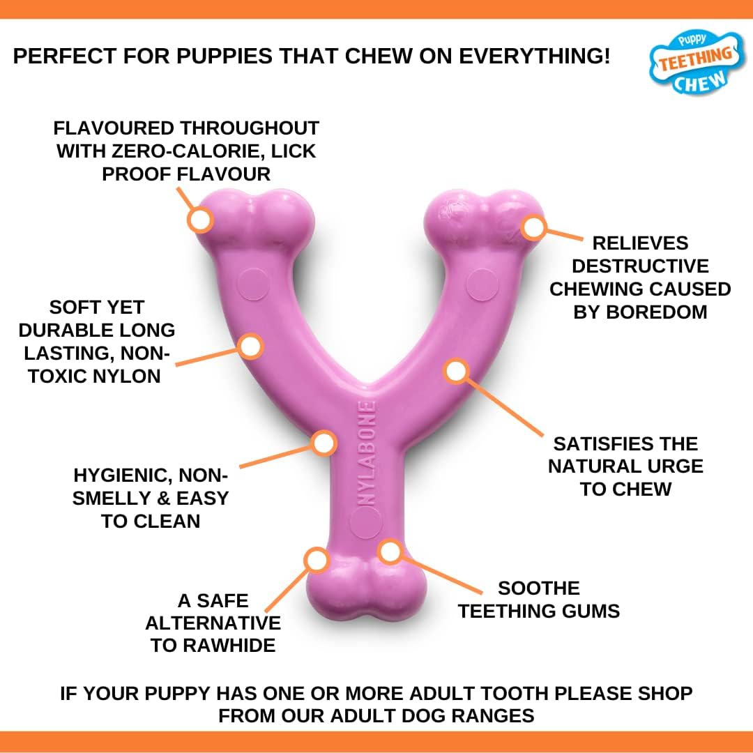 Nylabone Puppy Wishbone Pink X Small