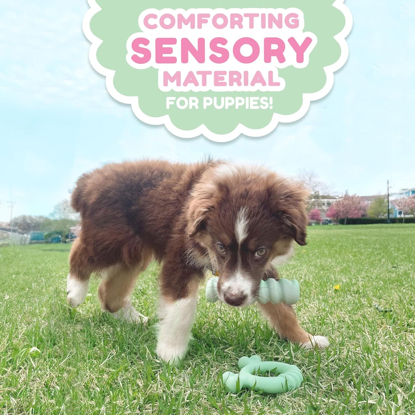 Nylabone Puppy Tactile Stick Peanut Butter Small
