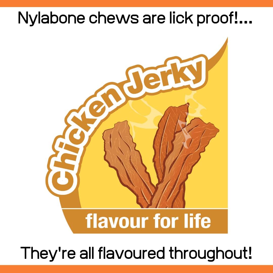 Nylabone Shish Kebab Alternative Small
