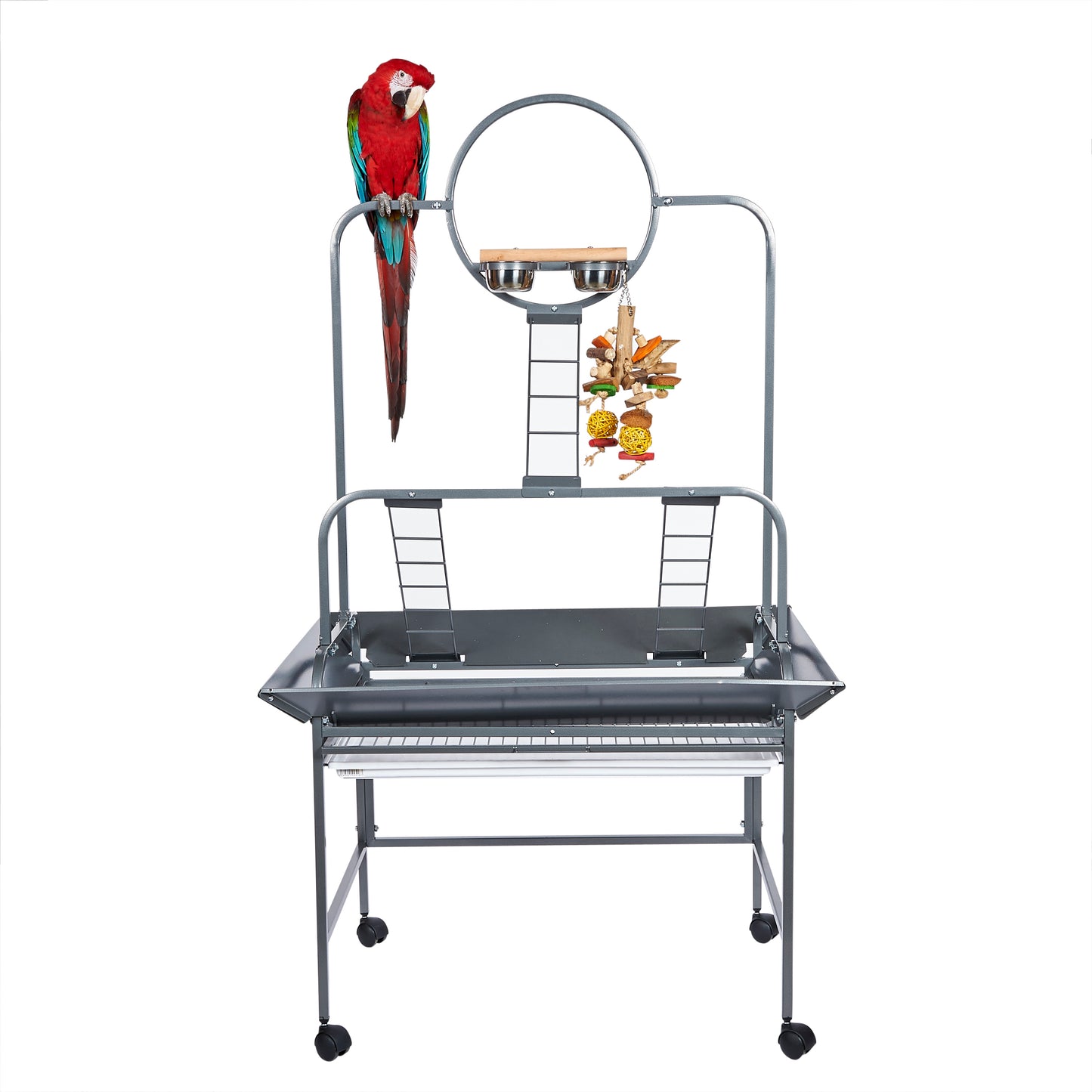 Rainforest Guyana Parrot Play Stand