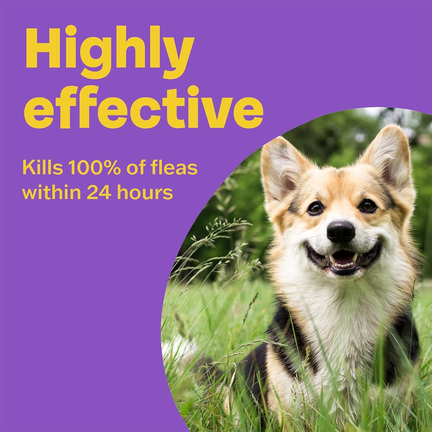 Bob Martin Clear One Dose Flea Tablets Small Dog Up to 11Kg 3 Tablets