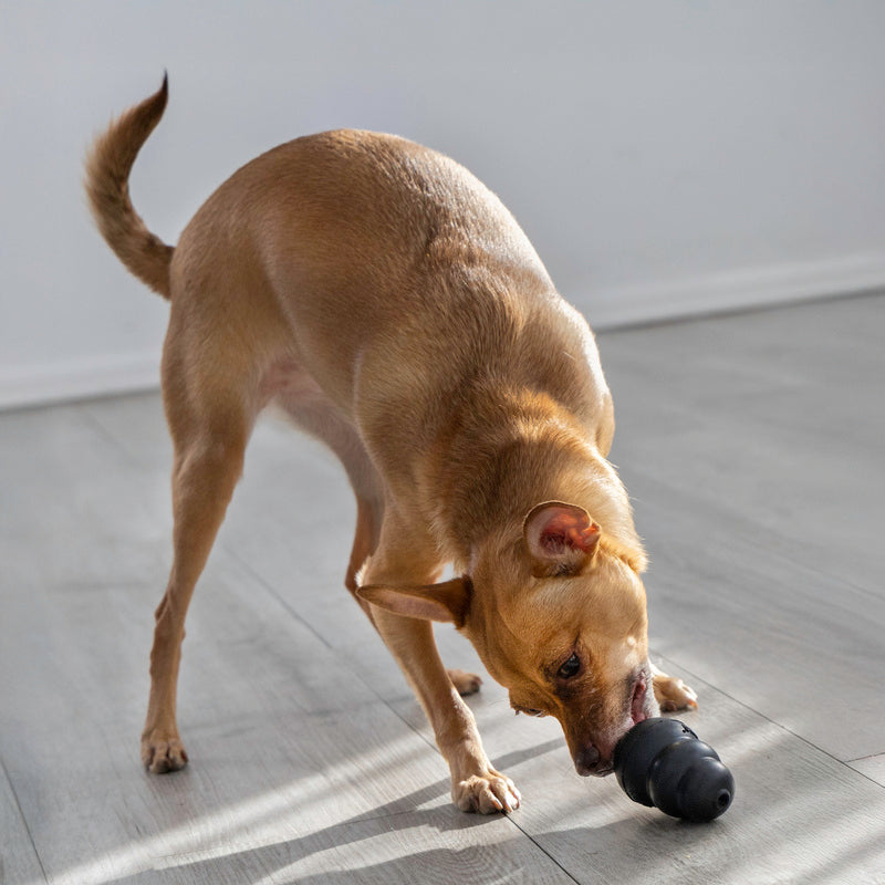 KONG Extreme Dog Toy Small