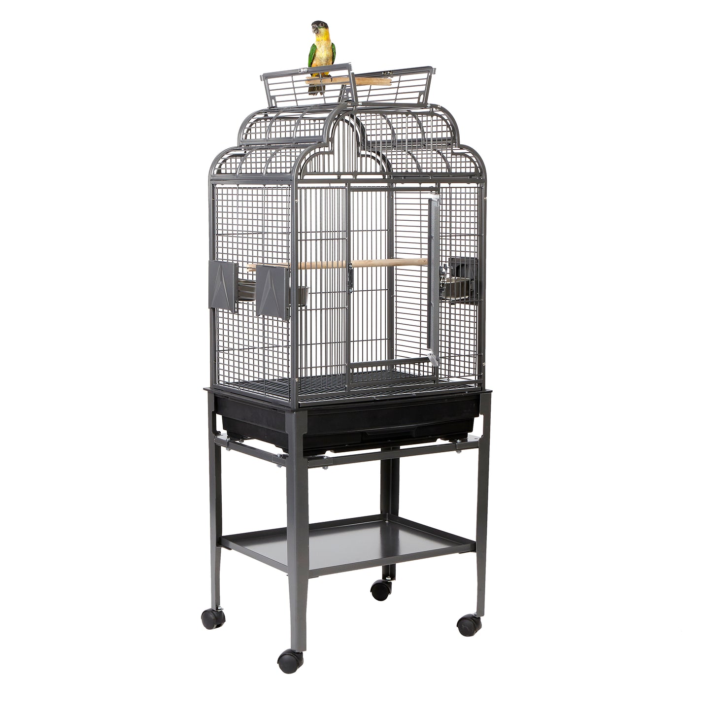 Rainforest Peru Open Top Medium Bird Cage Antique Black
