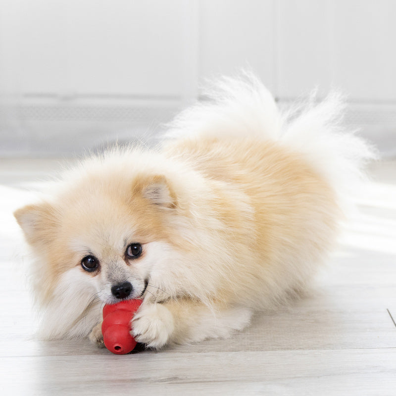KONG Classic Dog Toy Small