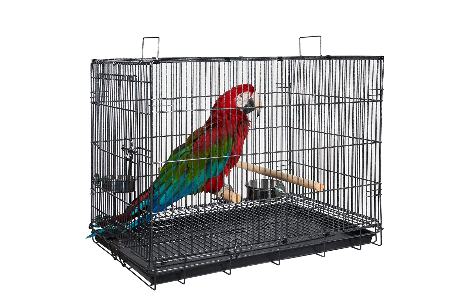 Liberta Transporter Large Parrot Carrying Cage