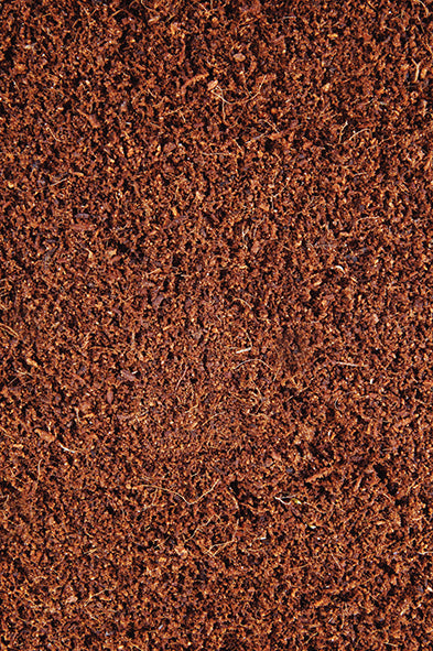 Komodo Tropical Terrain 6ltr