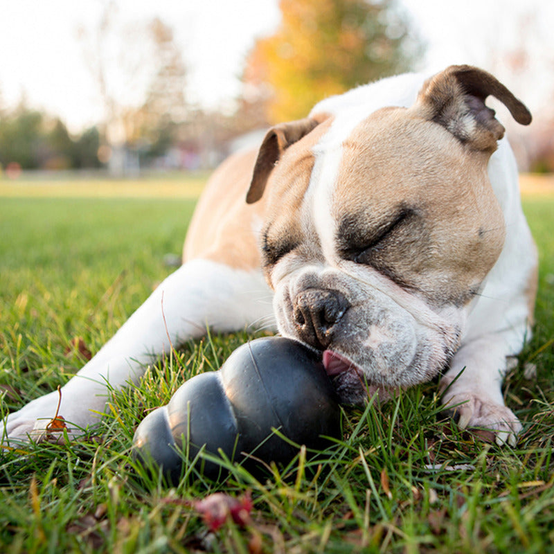 KONG Extreme Dog Toy X-Large